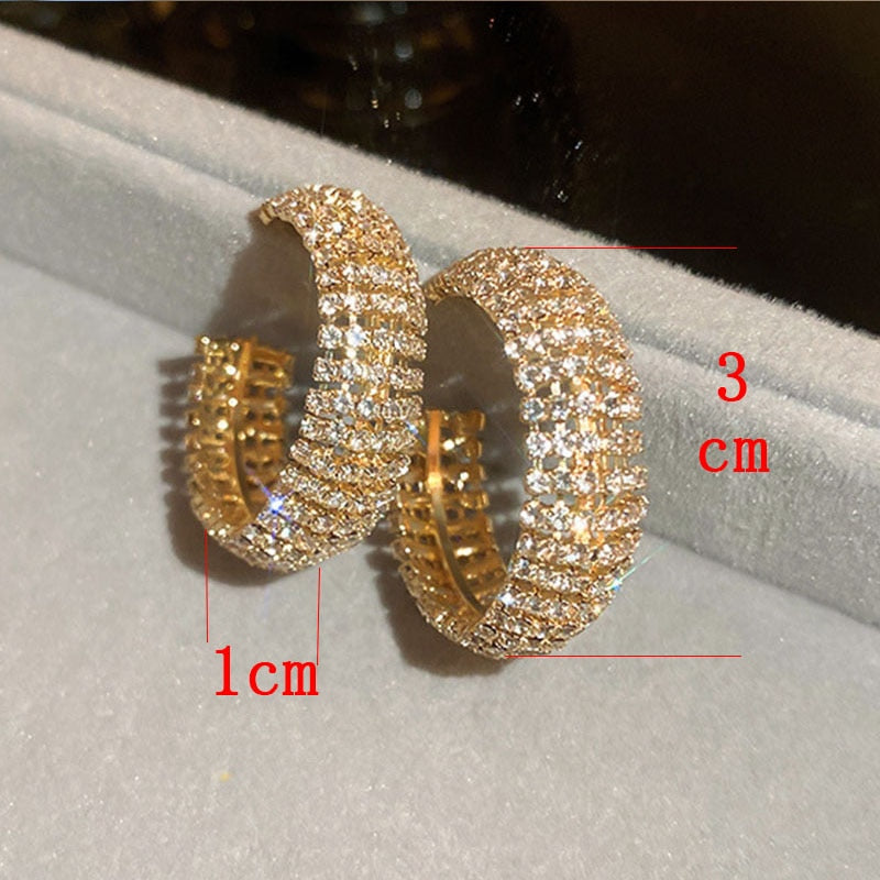 Zircon Crystal Hoop Earrings